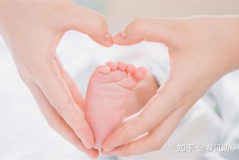 http://changchun.51dzb.net/post/188.html|长春新闻中心