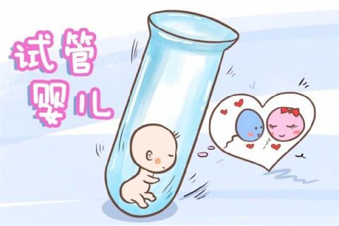 http://changchun.51dzb.net/post/212.html|长春新闻中心